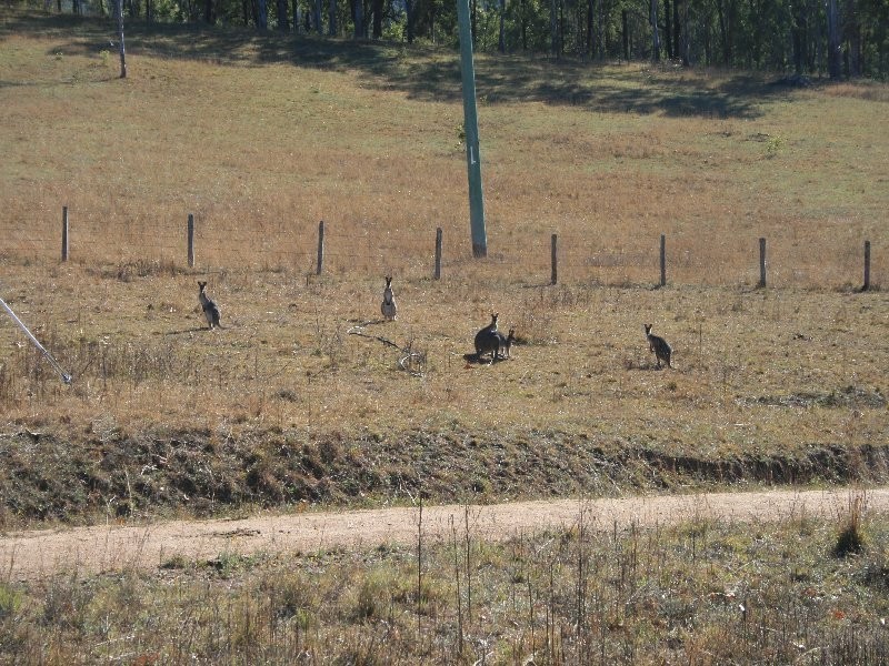 Warwick QLD 4370
