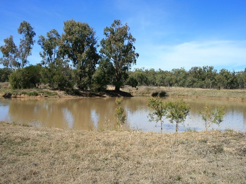 Warwick QLD 4370