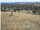 Stanthorpe QLD 4380