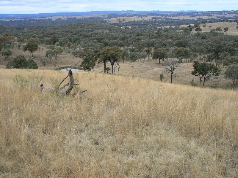 Stanthorpe QLD 4380