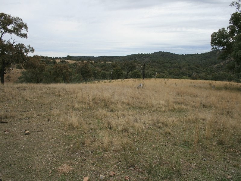 Stanthorpe QLD 4380