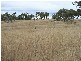 Stanthorpe QLD 4380