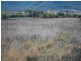 Maryvale QLD 4370
