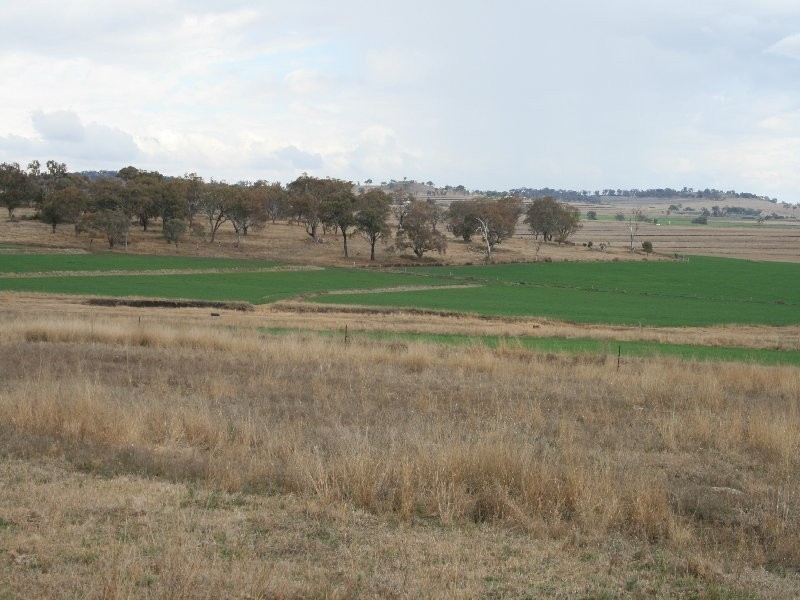Warwick QLD 4370