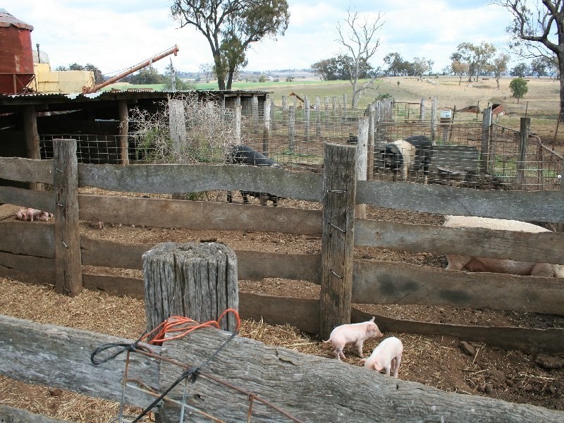 Warwick QLD 4370