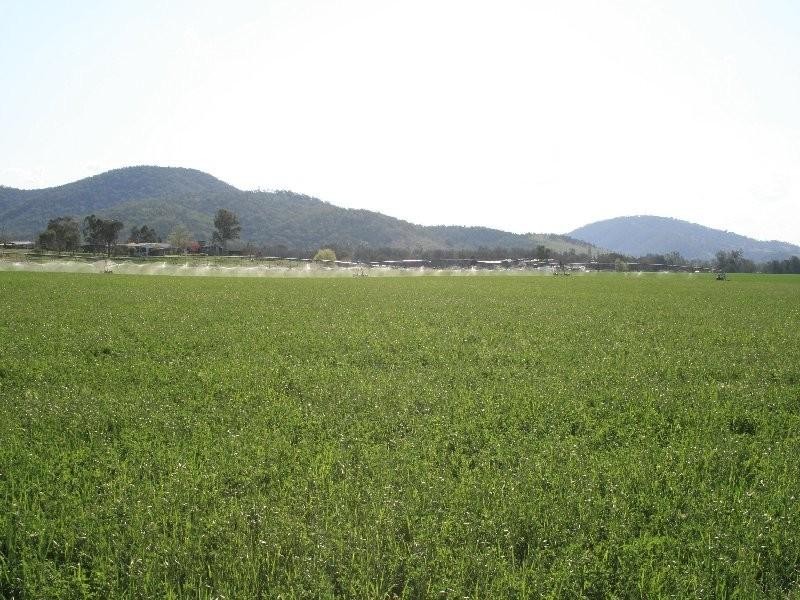 1 Sovereignton, Tenterfield NSW 2372