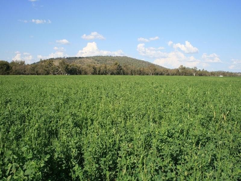 1 Sovereignton, Tenterfield NSW 2372