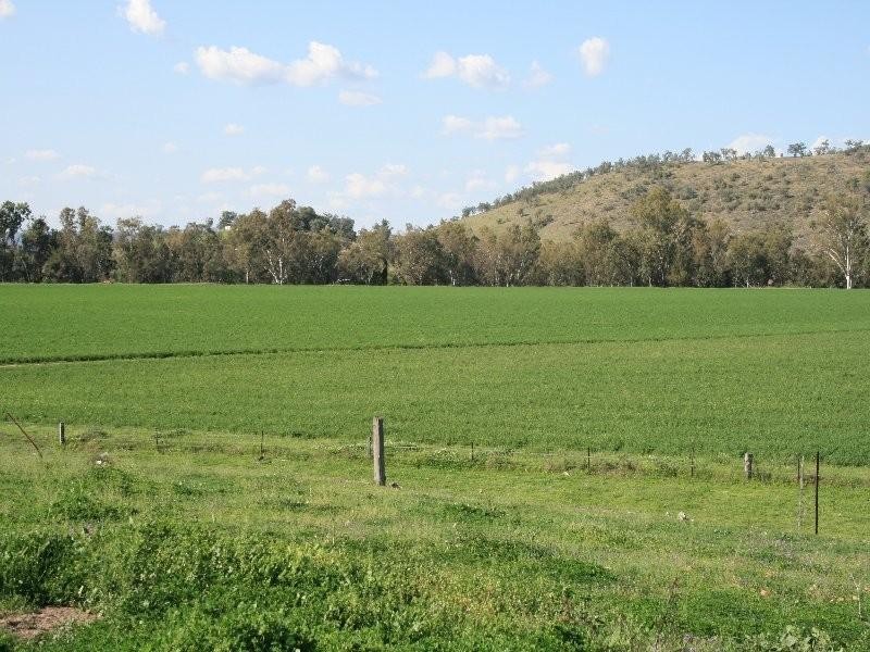1 Sovereignton, Tenterfield NSW 2372
