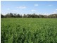 1 Sovereignton, Tenterfield NSW 2372