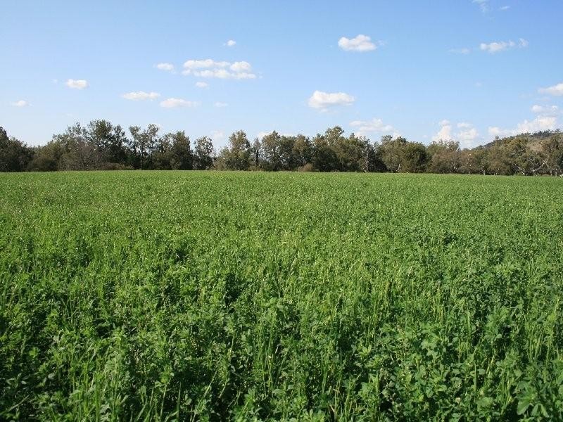 1 Sovereignton, Tenterfield NSW 2372