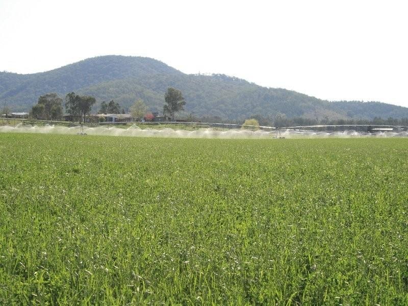 1 Sovereignton, Tenterfield NSW 2372