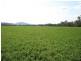 1 Sovereignton, Tenterfield NSW 2372