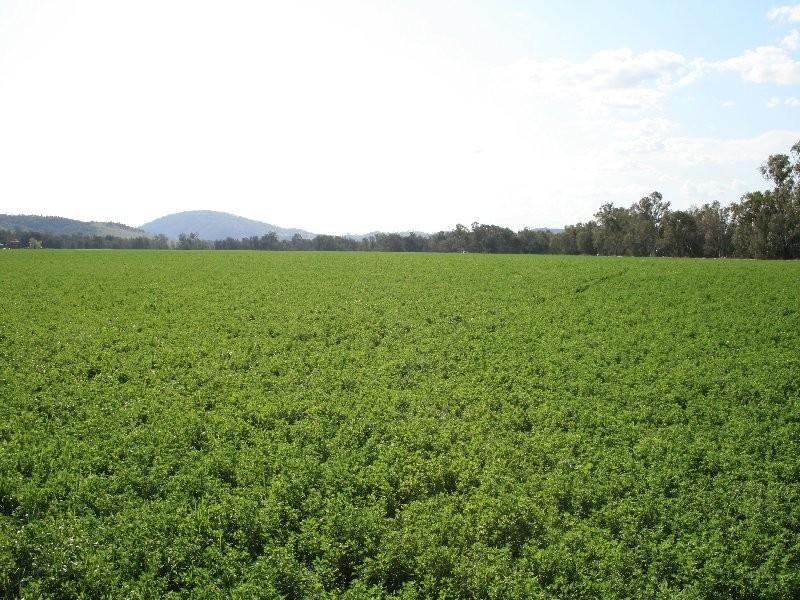 1 Sovereignton, Tenterfield NSW 2372