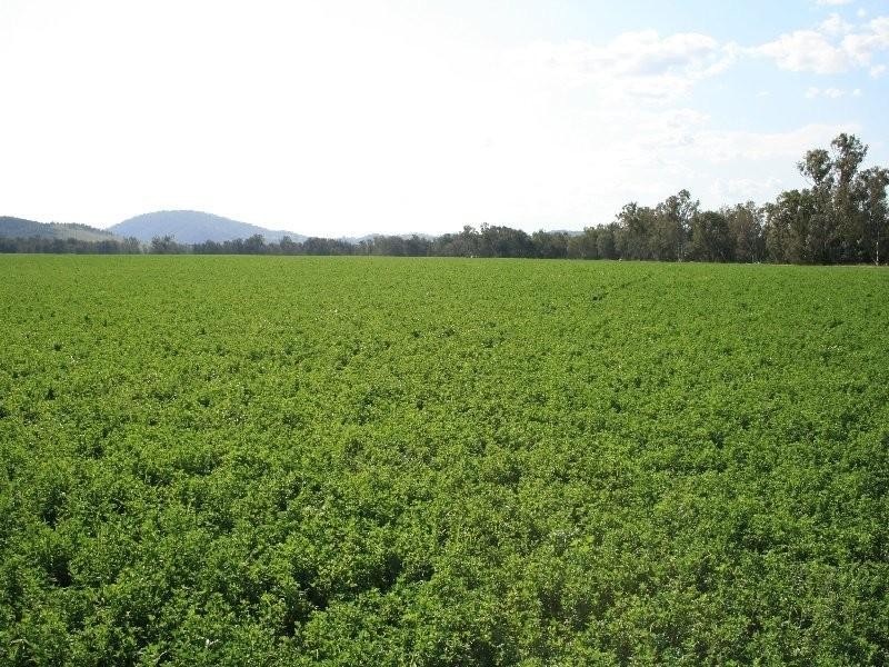 1 Sovereignton, Tenterfield NSW 2372