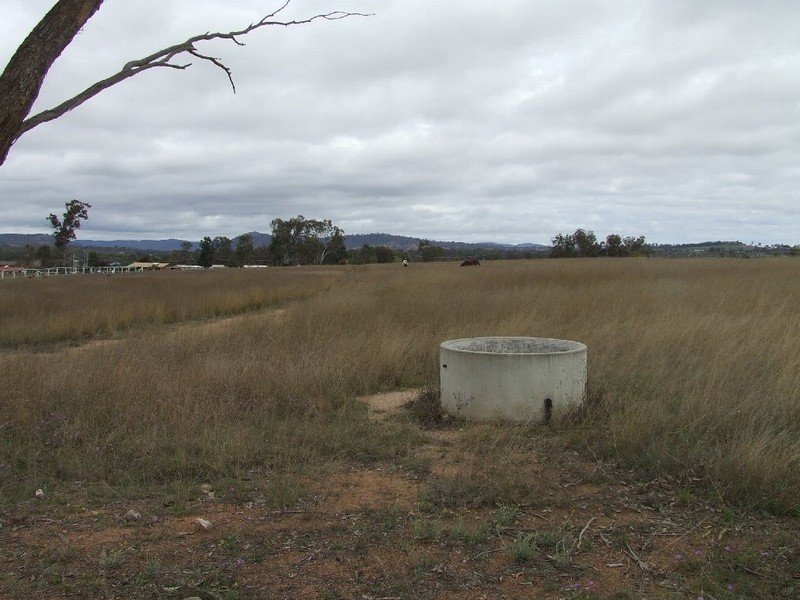 Warwick QLD 4370