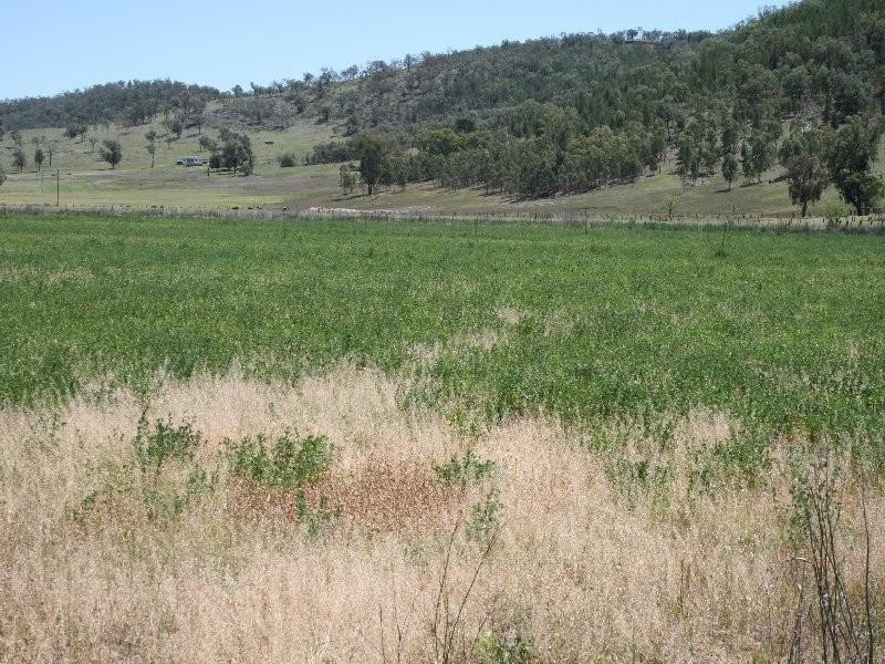 Tenterfield NSW 2372