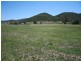 Tenterfield NSW 2372