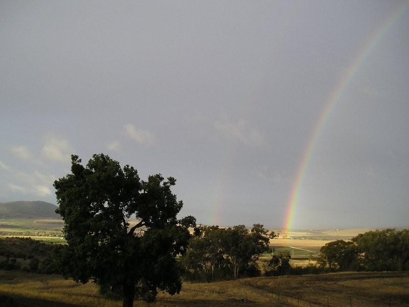 Warwick QLD 4370