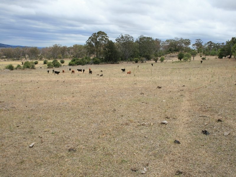 Warwick QLD 4370