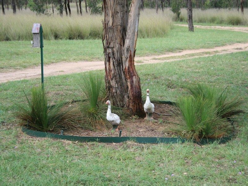 Warwick QLD 4370