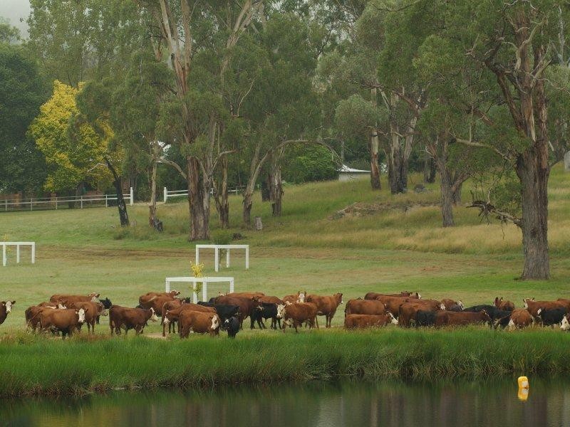Warwick QLD 4370