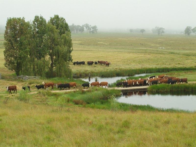 Warwick QLD 4370