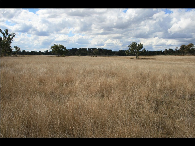Warwick QLD 4370