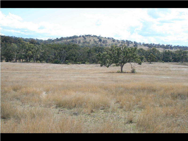 Warwick QLD 4370