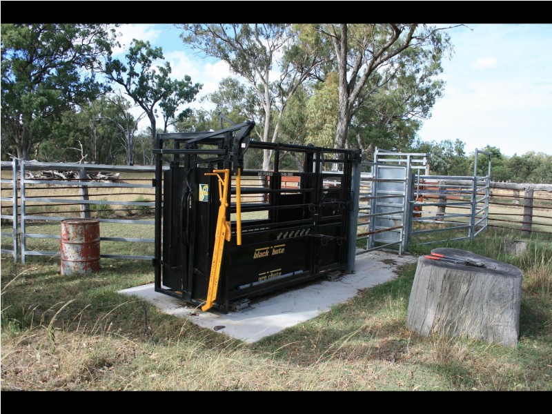 Warwick QLD 4370