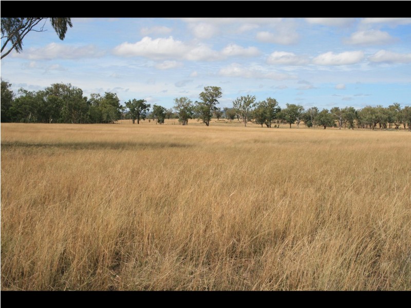 Warwick QLD 4370