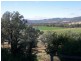 Tenterfield NSW 2372