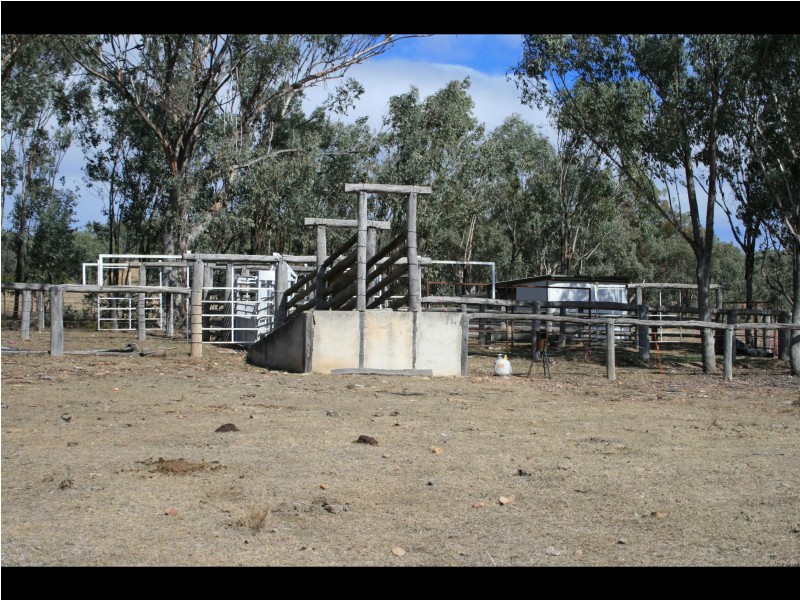 Warwick QLD 4370