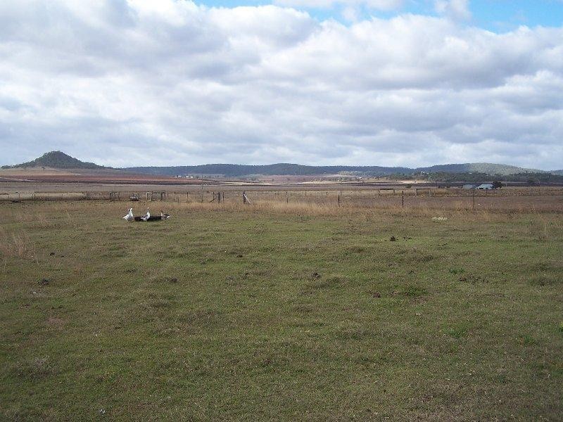Warwick QLD 4370