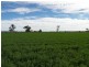 Tannymorel QLD 4372