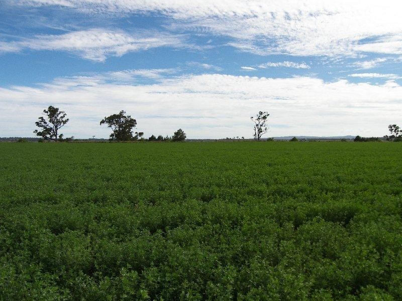 Tannymorel QLD 4372