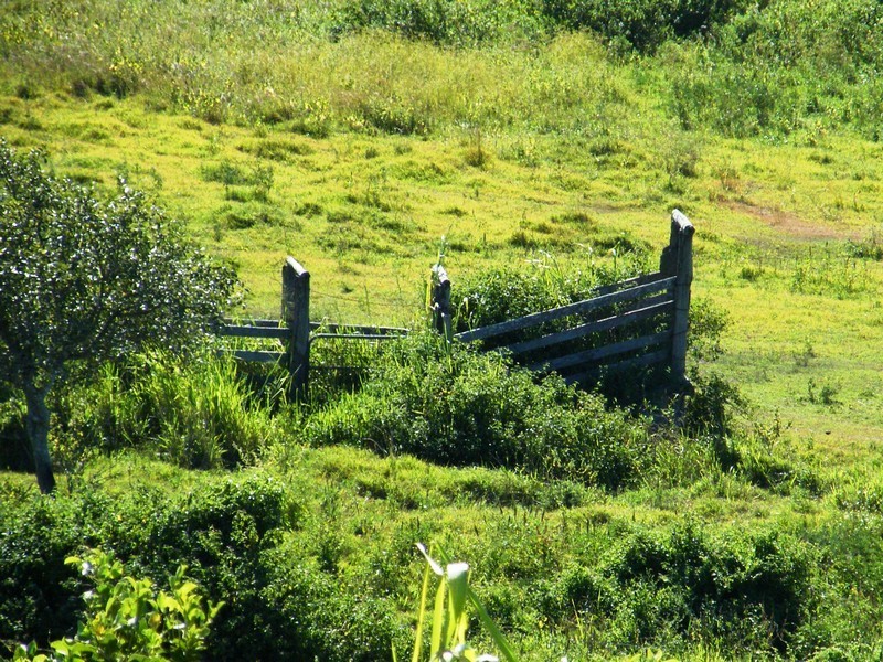 109 Browns Lane, Yeppoon QLD 4703