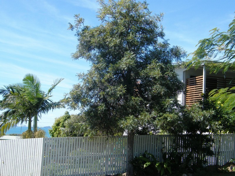 Yeppoon QLD 4703