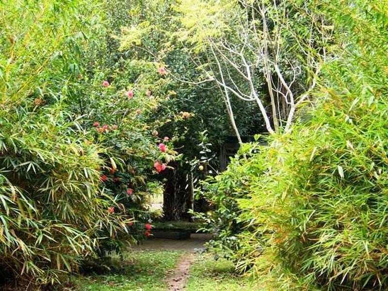 14 Wards Lane, Yeppoon QLD 4703