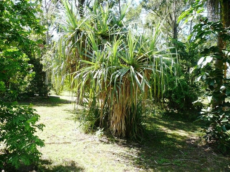 161 Woodvale Park Road, Yeppoon QLD 4703