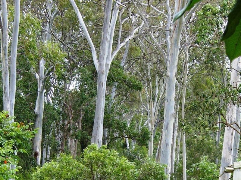 165 Stones Road, Yeppoon QLD 4703