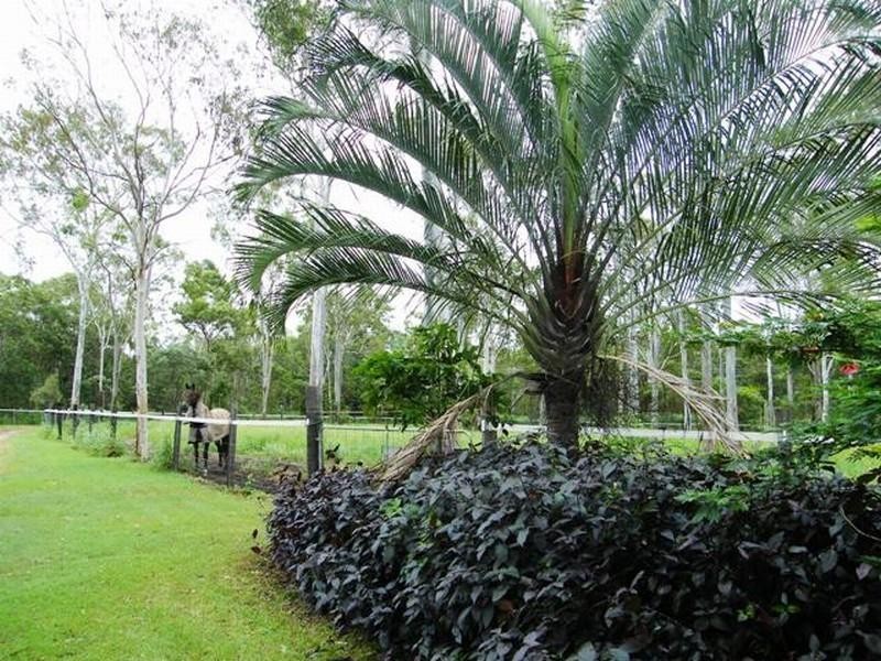 165 Stones Road, Yeppoon QLD 4703