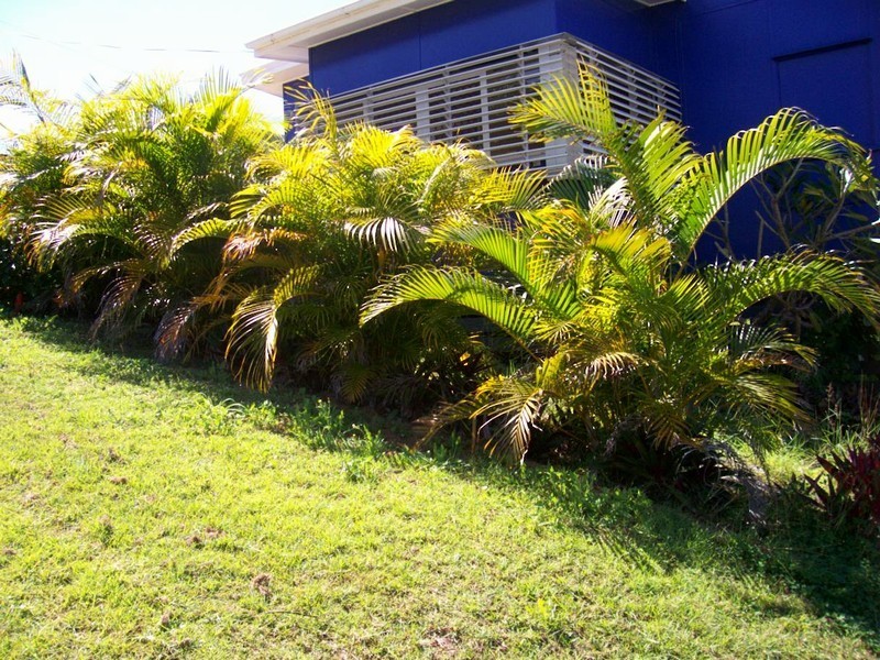 17 Vaughan Street, Yeppoon QLD 4703