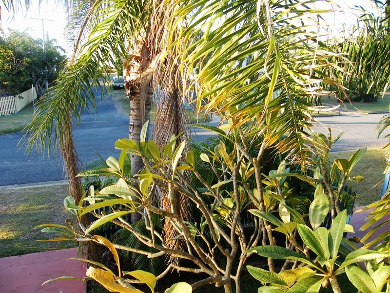 18 Cathne Street, Yeppoon QLD 4703