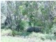 14 Apollo Court, Yeppoon QLD 4703
