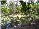 214 Hidden Valley Road, Yeppoon QLD 4703