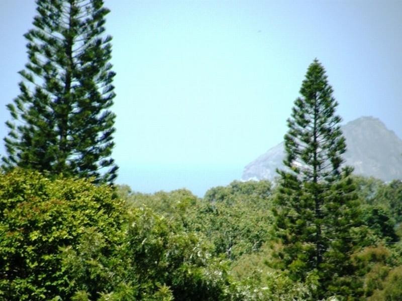 21 Holt Street, Yeppoon QLD 4703