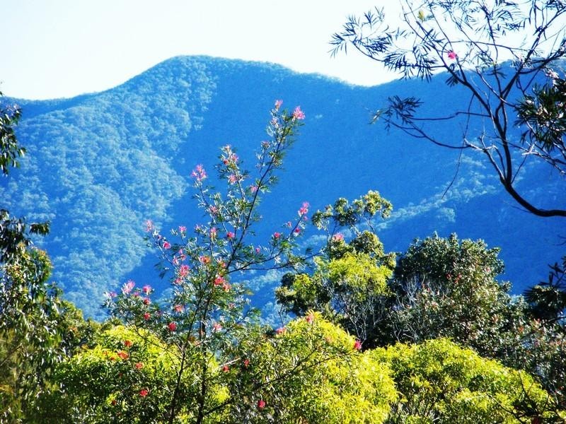 221 yaxley Rd, Byfield QLD 4703