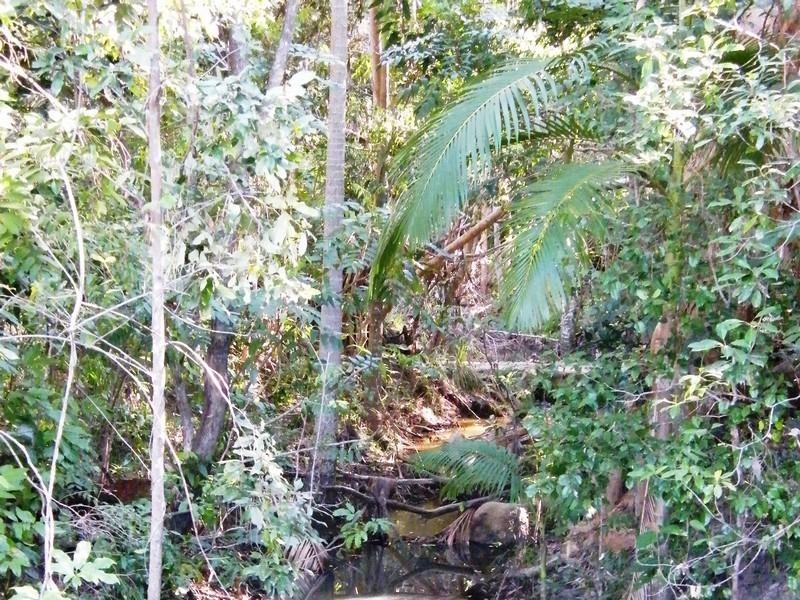 221 yaxley Rd, Byfield QLD 4703