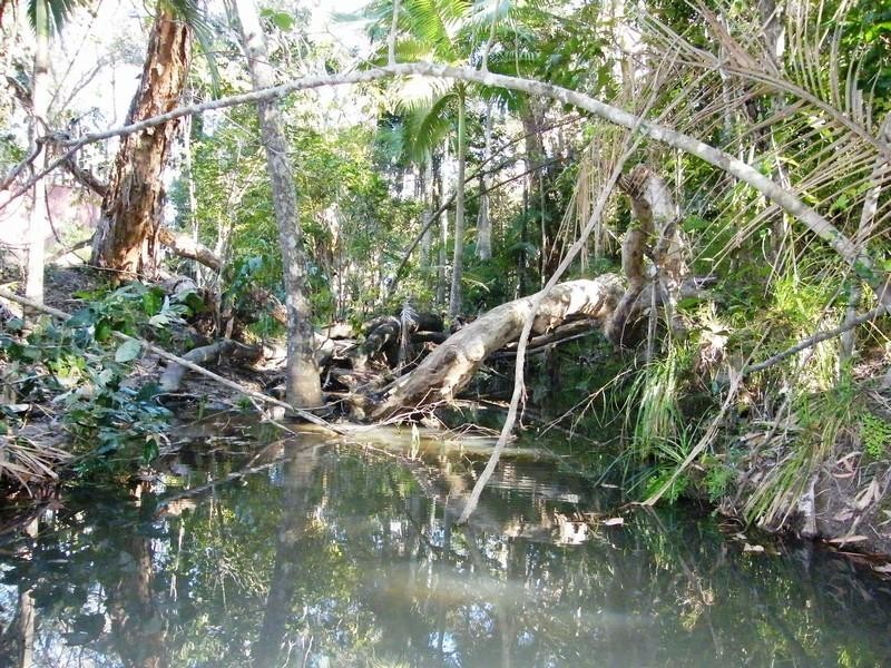 221 yaxley Rd, Byfield QLD 4703