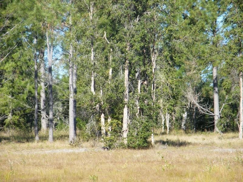 221 yaxley Rd, Byfield QLD 4703